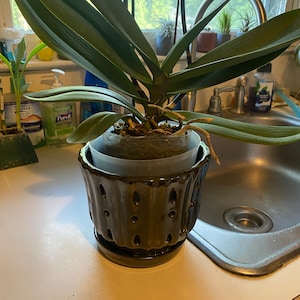 Marce added a photo of their purchase
