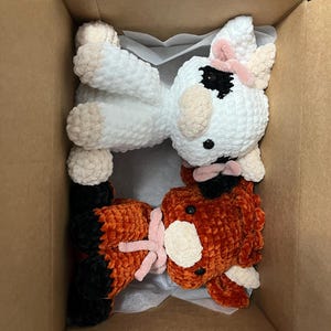 Rachel added a photo of their purchase