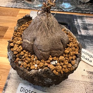 Jason added a photo of their purchase