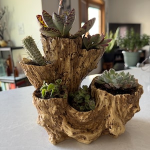 Pam added a photo of their purchase