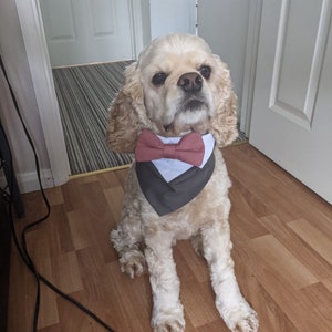 Susie added a photo of their purchase