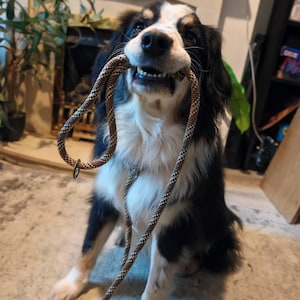 Alina added a photo of their purchase