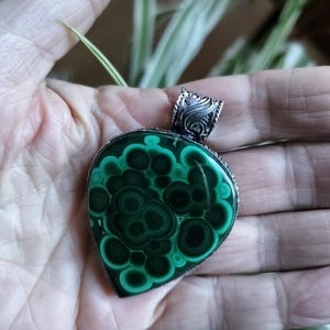 Isabelle added a photo of their purchase