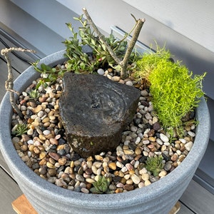Fountain Basin Bird Bath Fountain Rock Garden Bird Bath Rock Garden