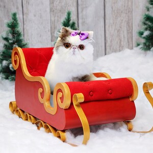 Kathreen added a photo of their purchase