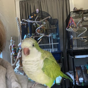 Brandi added a photo of their purchase