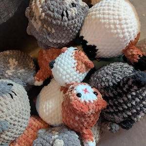 Tammy added a photo of their purchase