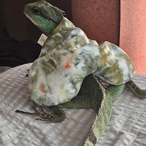 Misha ha añadido una foto de su compra