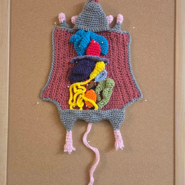 Crochet Rat Dissection Pattern, PDF Digital Download, Biology Amigurumi ...
