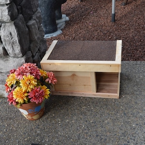 Elaine added a photo of their purchase