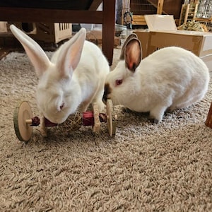 Alexandra added a photo of their purchase