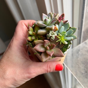 Etsy buyer added a photo of their purchase