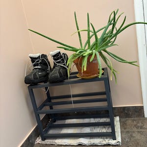Kathleen added a photo of their purchase