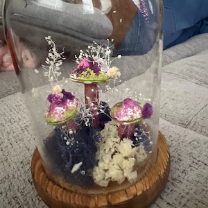rachel added a photo of their purchase
