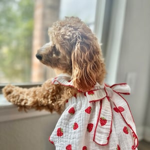 Cherish added a photo of their purchase