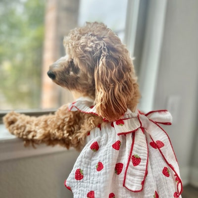 Naimal Wild Strawberry Long Dress main image 0