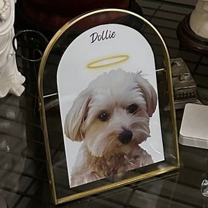 Randy added a photo of their purchase