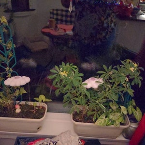 15+ Cloud Plant Waterer