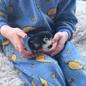 Cassandra added a photo of their purchase