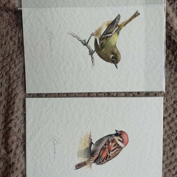 Robin Bird Watercolor Painting, Handmade Artwork, Bird Wall Decor - Etsy