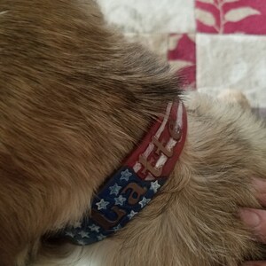 Marine Corps Dog Collar USMC Dog Collars Black Collar | Etsy