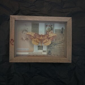 Aidan added a photo of their purchase