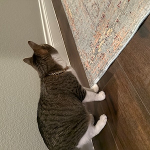 Madison added a photo of their purchase