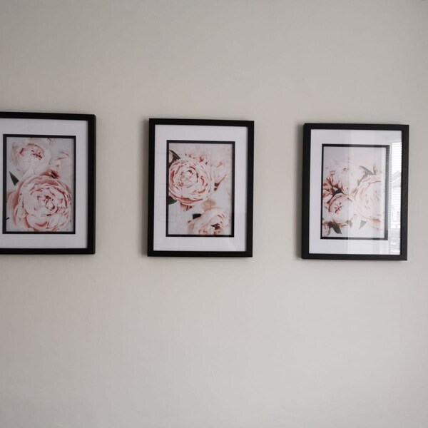 Peony Print Set of 3, Flower Print Set, Blush Pink Wall Art, Flower ...