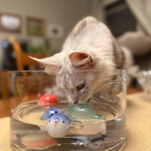 Alina added a photo of their purchase