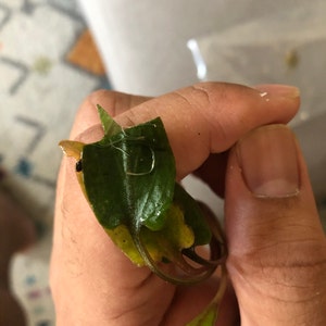 Etsy buyer added a photo of their purchase