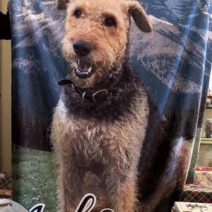 Etsy buyer added a photo of their purchase