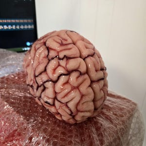Erin added a photo of their purchase