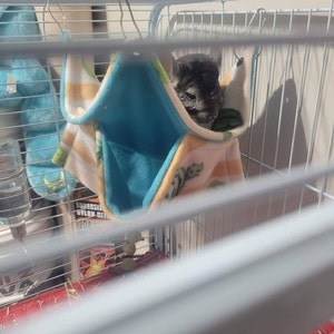 McKinley added a photo of their purchase