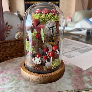 Tracy added a photo of their purchase