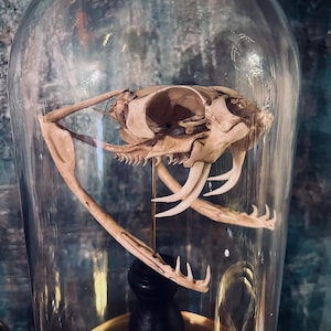 Airi added a photo of their purchase