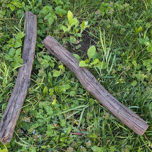 Marco added a photo of their purchase