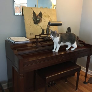 SoulPebbles added a photo of their purchase