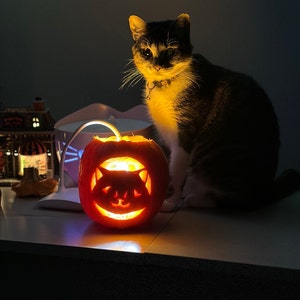 子猫のカボチャ彫刻ステンシル：ハロウィン猫ジャック・オー・ランタン