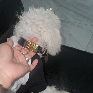 Maria added a photo of their purchase