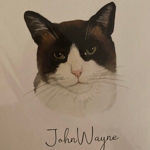 Sarah added a photo of their purchase