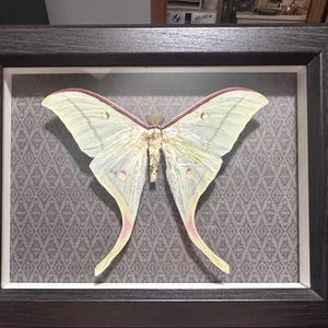 Jessica added a photo of their purchase