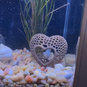 Isabelle added a photo of their purchase