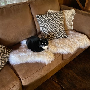 Stacy added a photo of their purchase