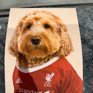 nigel added a photo of their purchase