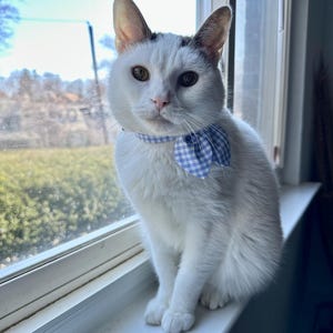 Comprador de Etsy ha añadido una foto de su compra