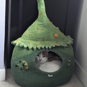 Emily added a photo of their purchase