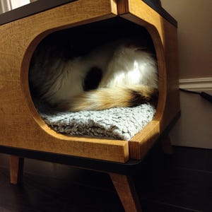 catlover added a photo of their purchase