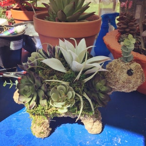 Brenda added a photo of their purchase
