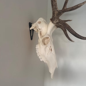 John ha añadido una foto de su compra