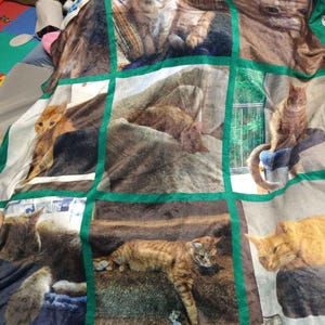 Reece added a photo of their purchase